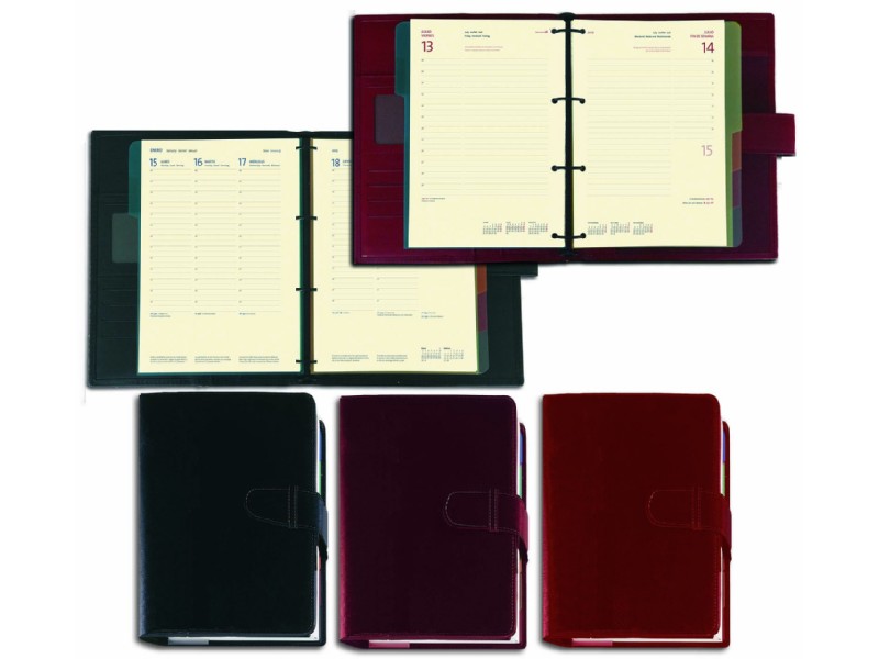 AGENDA MYRGA ANUAL 4/ANILLAS D/P ESTATUS 3612 ROJO