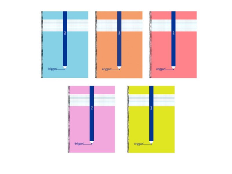 BLOC ERIGGAN Fº 80 H 3 MM CARTON COLOR SURT. NSFB3