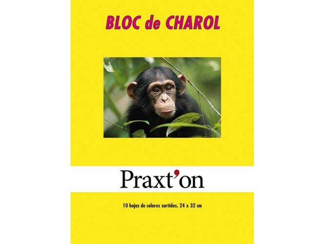 BLOC PAPEL CHAROL 10 COLORES PRAXTON