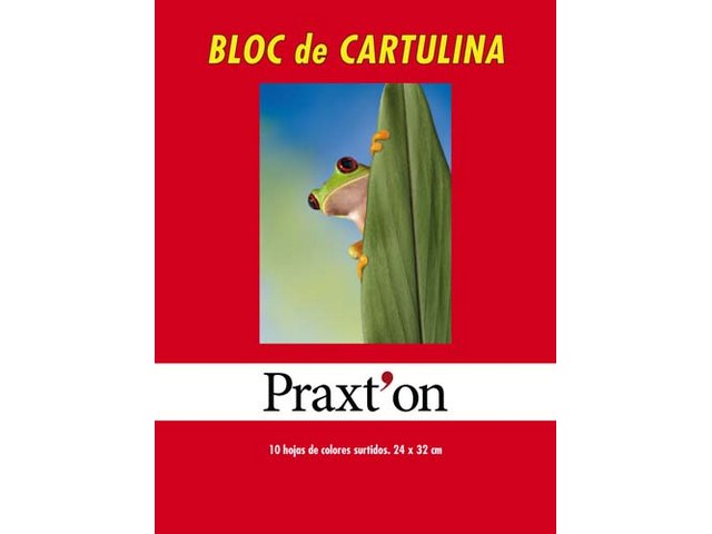 BLOC CARTULINAS 10 COLORES PRAXTON