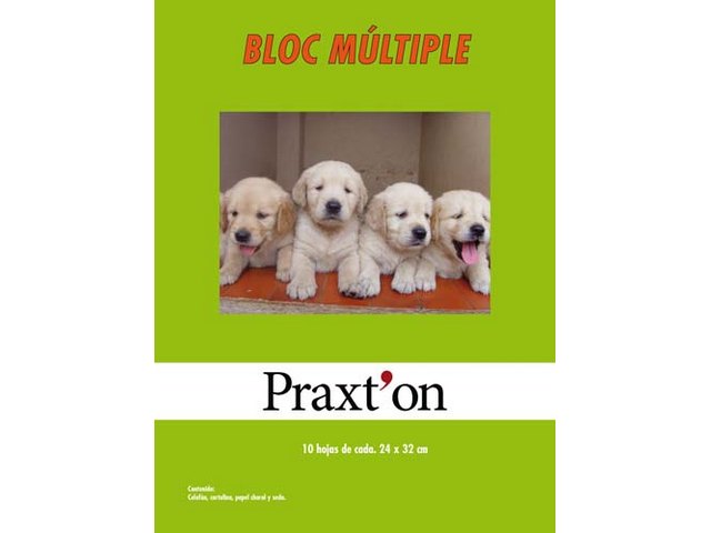 BLOC PAPEL MULTIPLE T.MANUALES PRAXTON