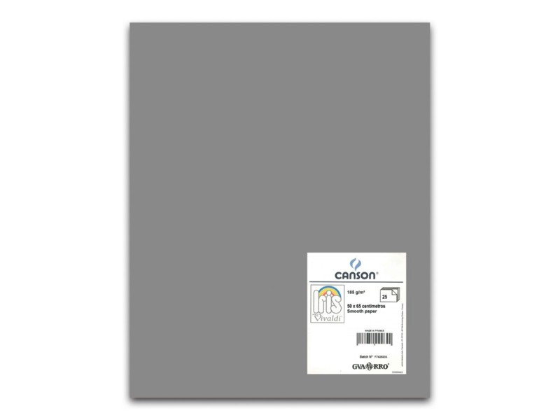 CARTULINA 50x65 GRIS PLOMO PTE/25 200040244