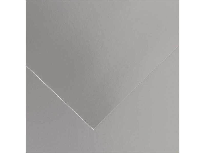 CARTULINA 50x65 METALIZADA PTE/25 CANSON PLATA