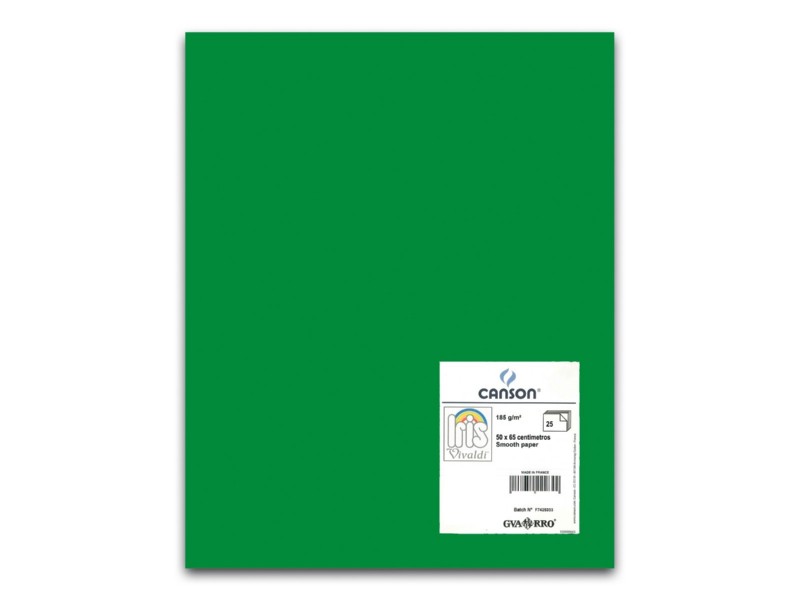 CARTULINA 50x65 VERDE ABETO PTE/25 200040239