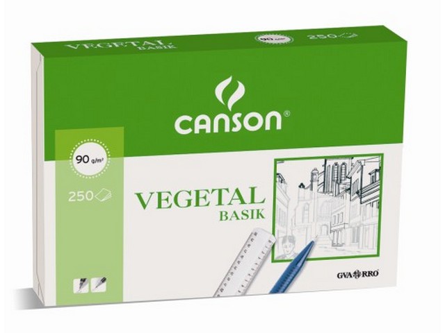 LAMINA VEGETAL CANSON A-3 200406244 PTE/250