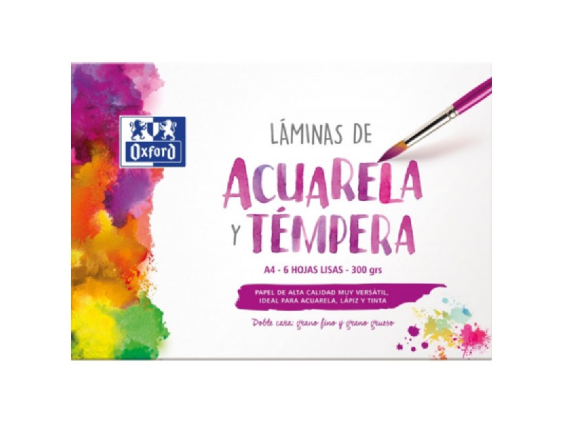 LAMINA D PACK A-4 400151293  6-H LISAS 300 GR