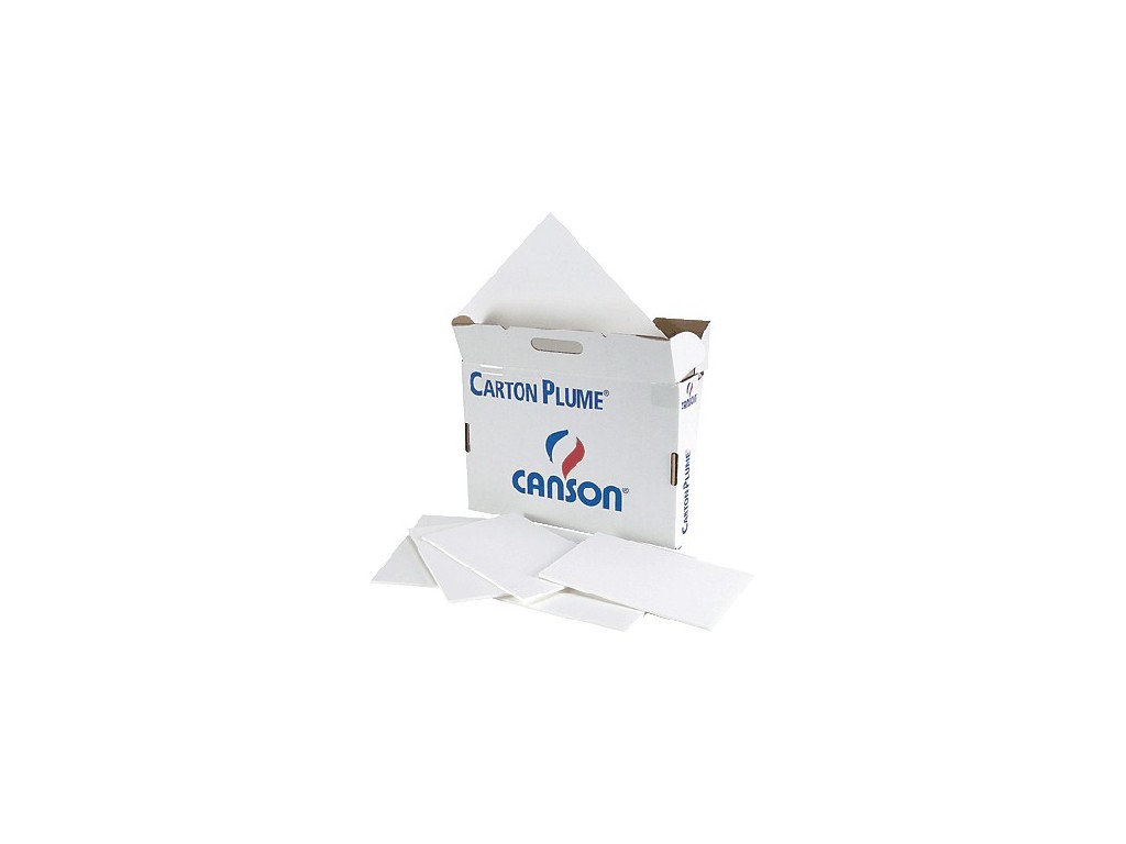 CARTON CANSON 50x70 CM. 5 MM PTE/24 205154402