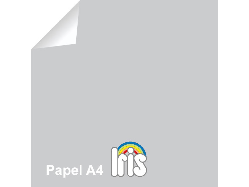 PAPEL 80 GR. A-4 100-H GUARRO GRIS PERLA