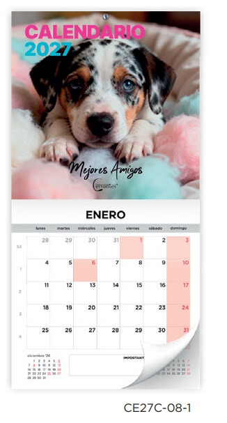 CALENDARIO 2027 PARED MP 30x30 CE27C081