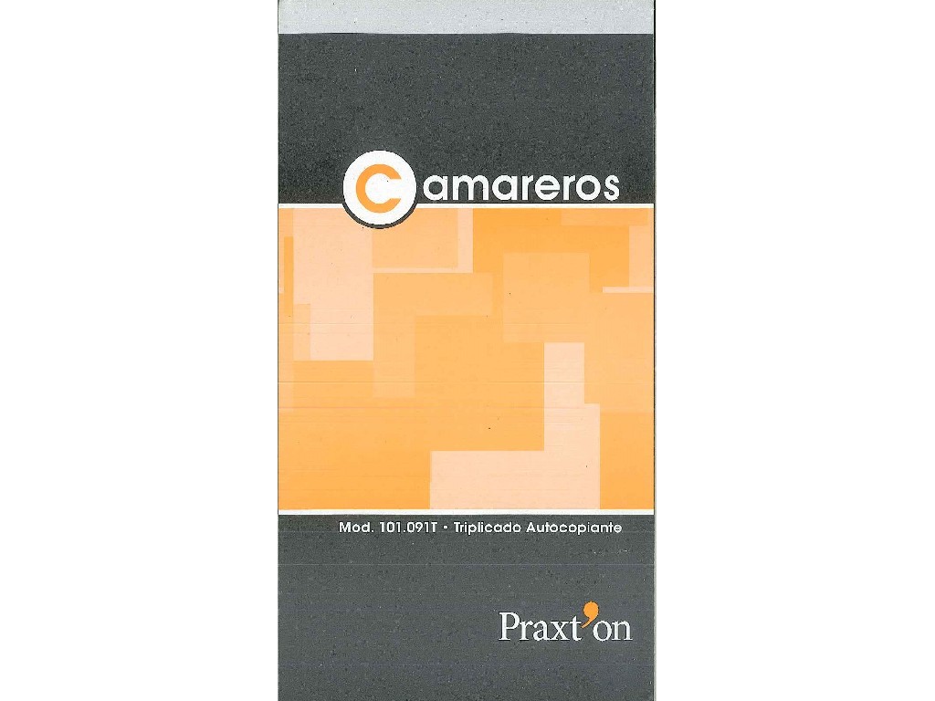 TALONARIO PRAXTON CAMARERO 1/3 Fº TRIPLICA 101091T